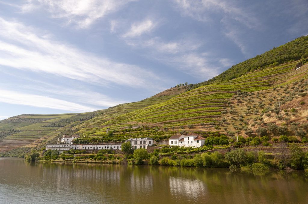 Rio Douro em Portugal, os maiores consumidores de vinho, com uma vinícola ao lado