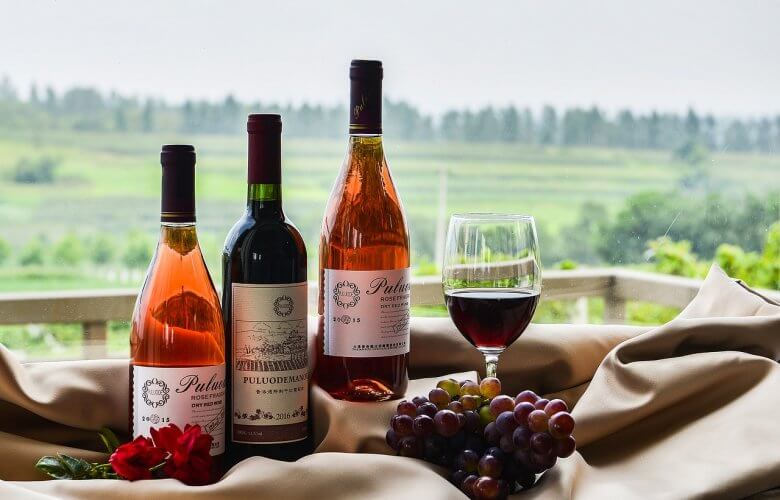 5 dicas vinhos bons e baratos