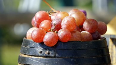 Vinho tinto ou suco de uva