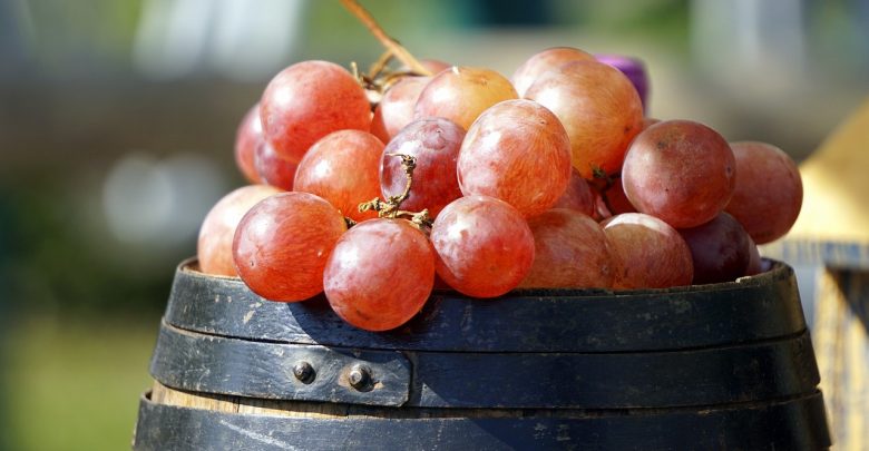 Vinho tinto ou suco de uva