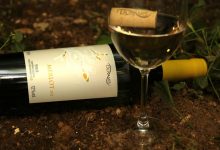 Vinho Merlot Branco