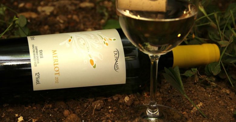 Vinho Merlot Branco