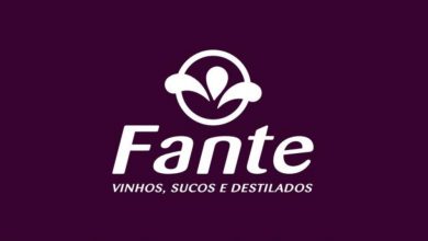 Conheça a história da Fante produtora do Quinta do Morgado 3