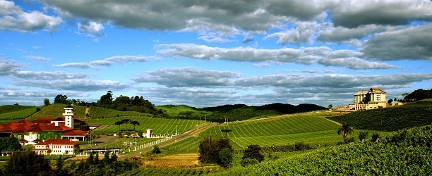 Serra gaúcha, produtora dos melhores vinhos brasileiros.