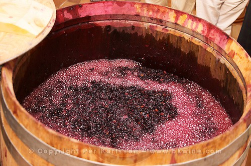 Fermentação de vinho Cabernet Sauvignon em barris. Clos de l'Obac, Costers del Siurana, Gratallops, Priorato, Catalunha, Espanha.